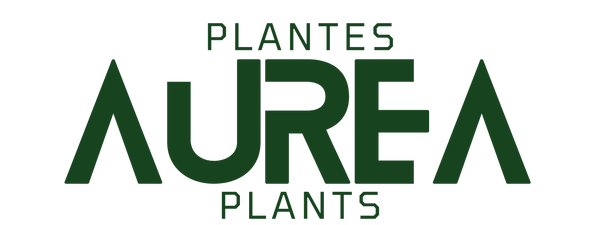 Aurea Plants