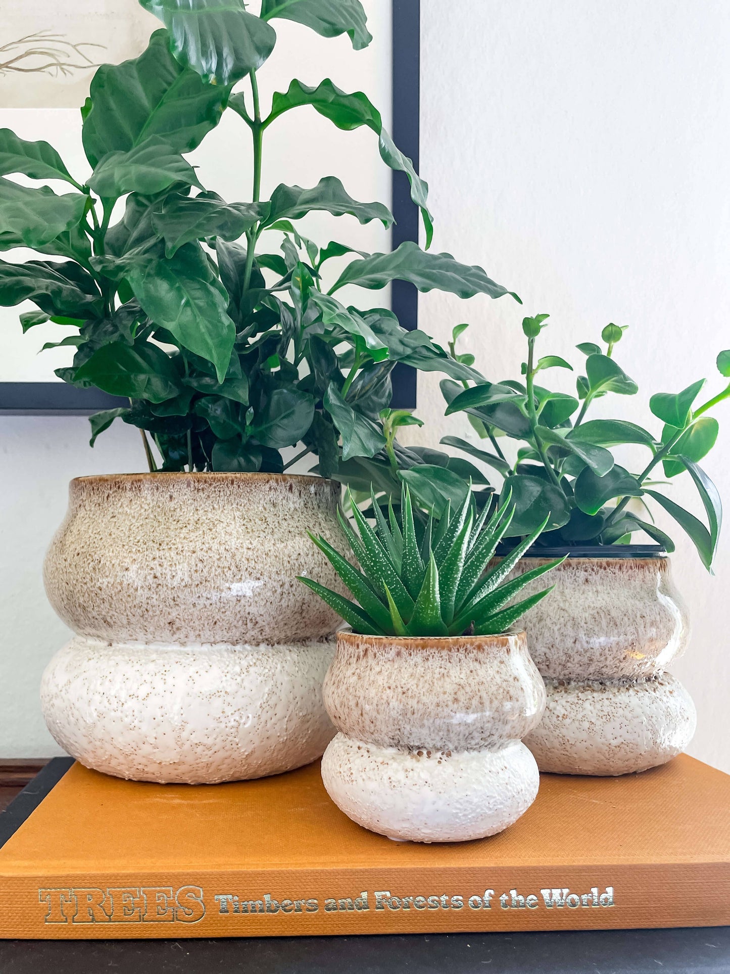 Noemi Planter – Pot en céramique empilable avec drainage