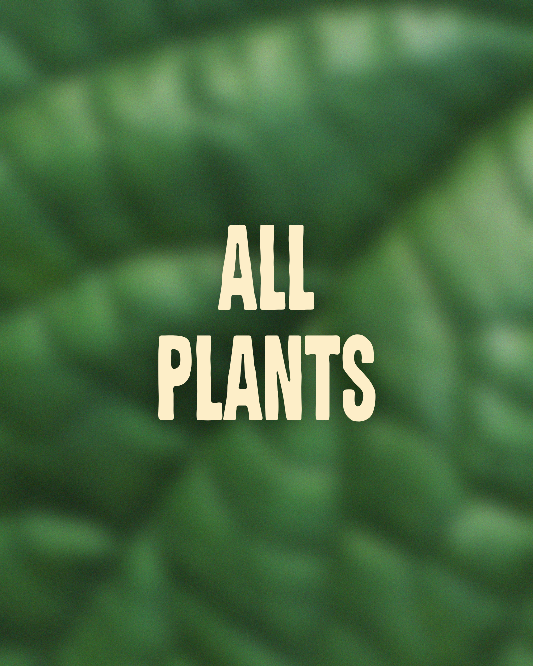 All our plants – Aurea Plants