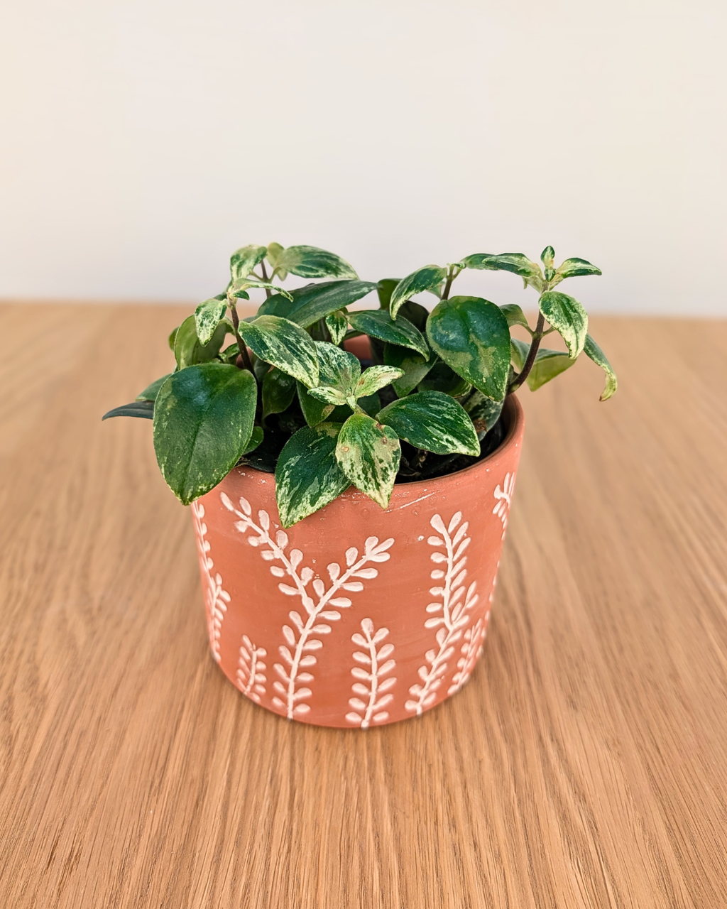 Cache-pot 'Fern'