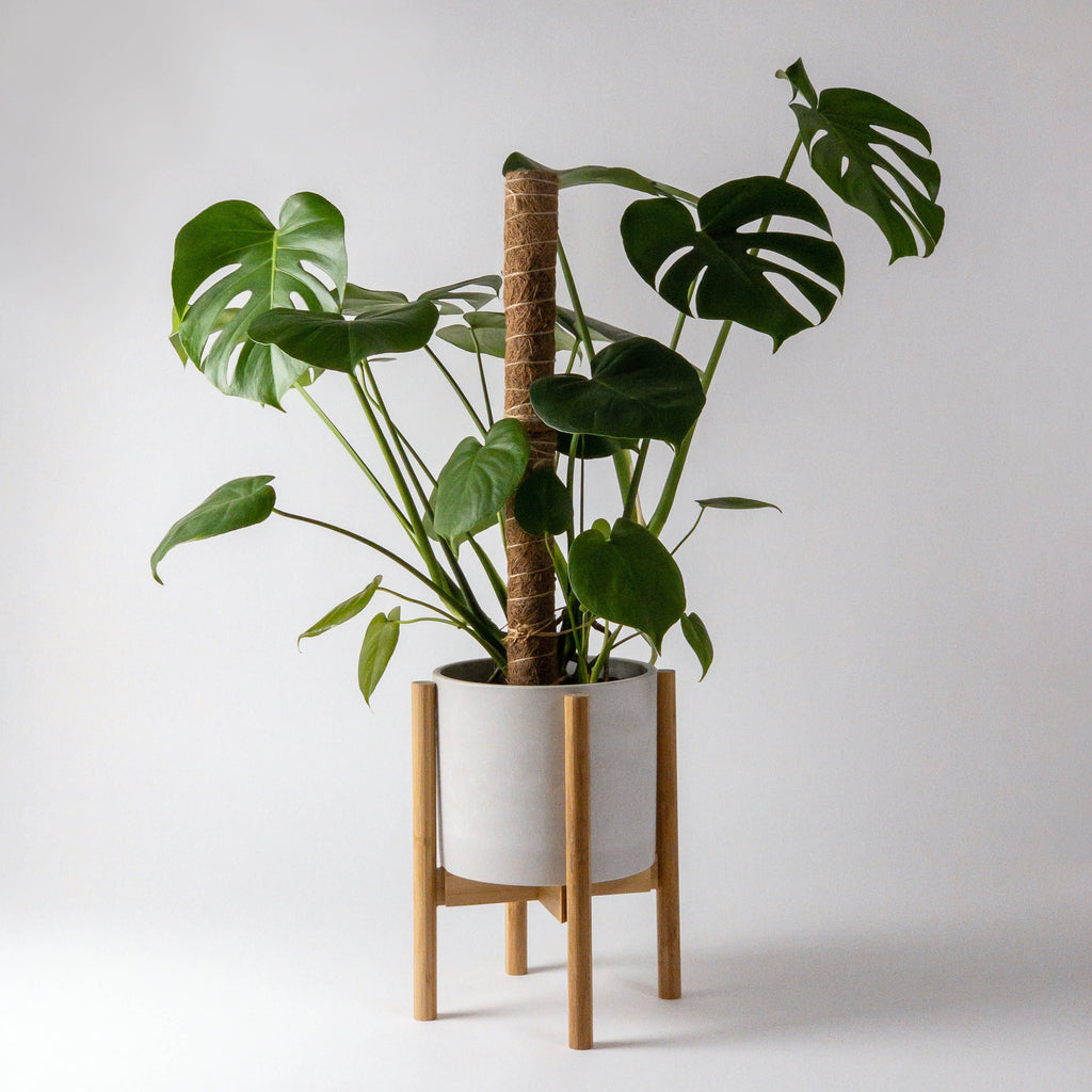 Adjustable bamboo plant stand
