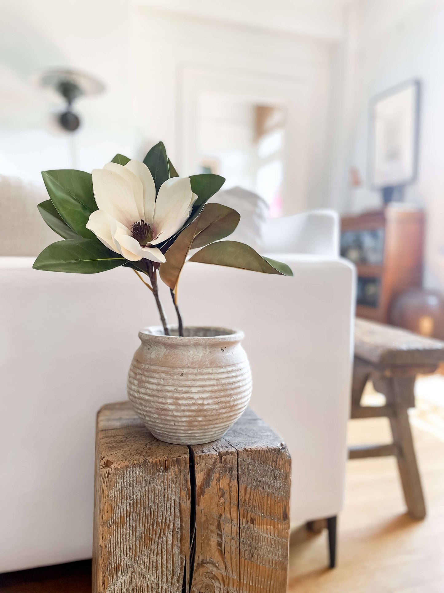 Pot en terre cuite de style vintage rustique Lazio avec aspect vieilli