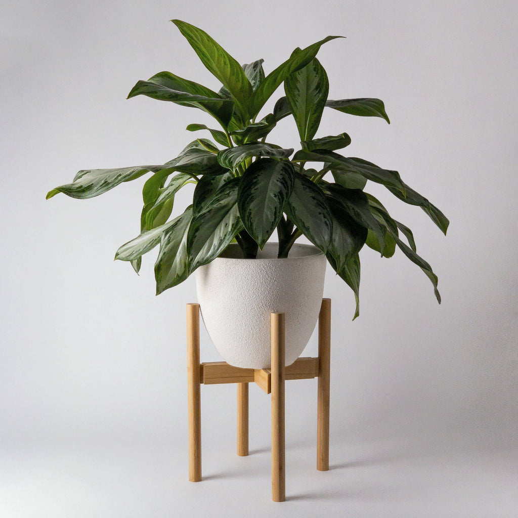 Adjustable bamboo plant stand