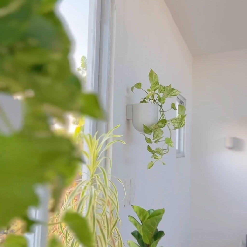 Wall-mounted planter made from recycled plastic