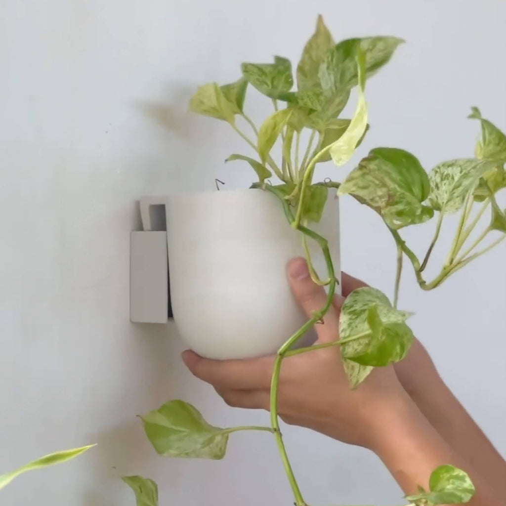 Wall-mounted planter made from recycled plastic