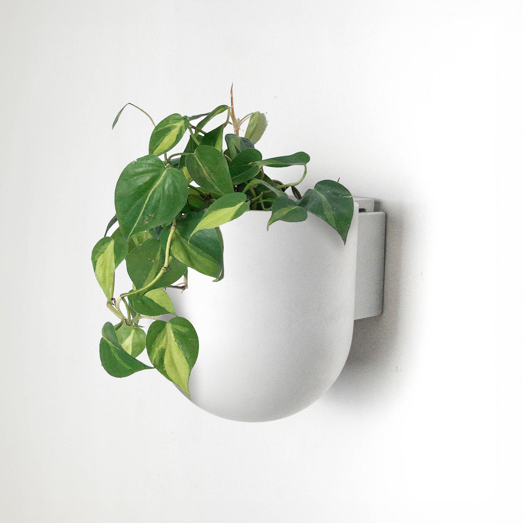 Wall-mounted planter made from recycled plastic