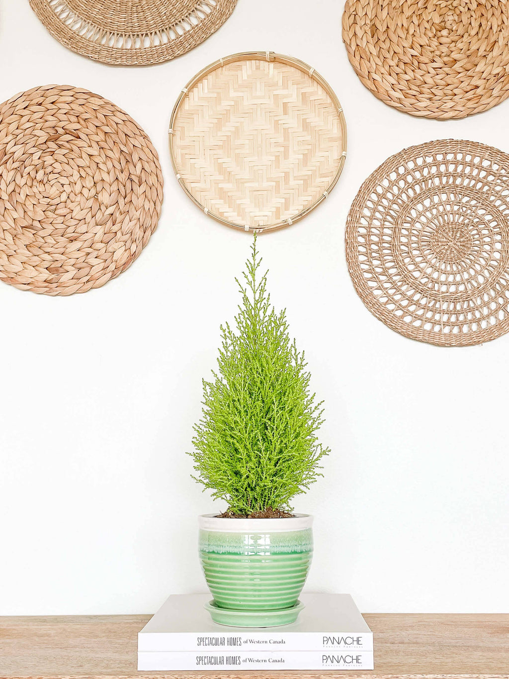 Willow ceramic flower pot with drainage hole and attached saucer