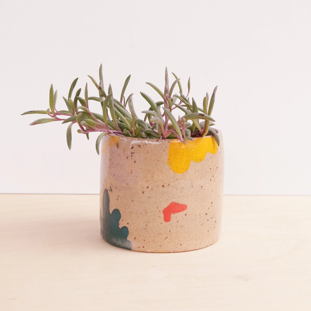 'Holiday' plant pot