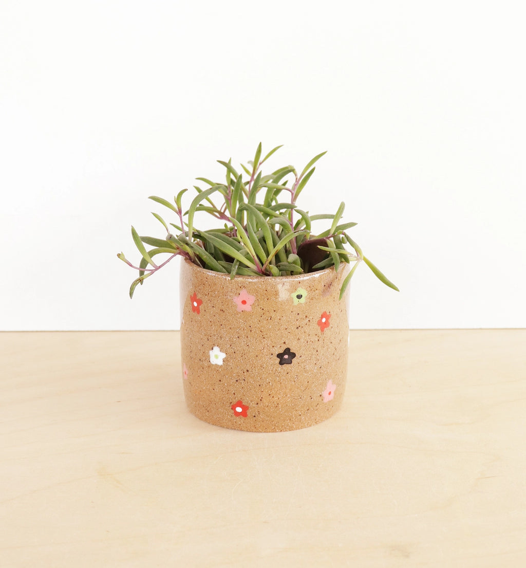 'Ditsy Floral' plant pot