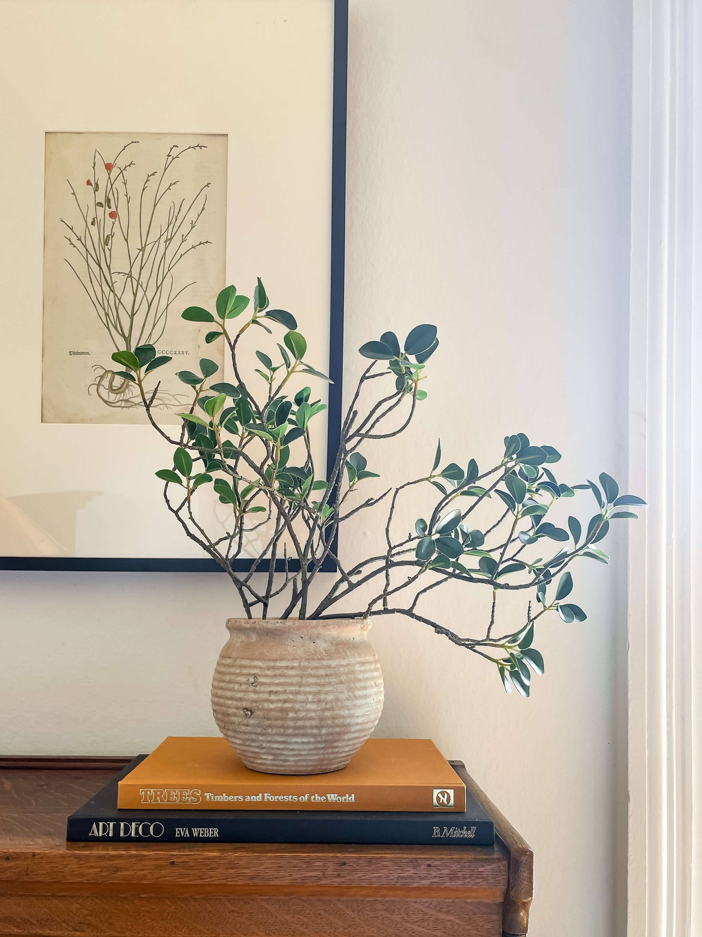 Pot en terre cuite de style vintage rustique Lazio avec aspect vieilli