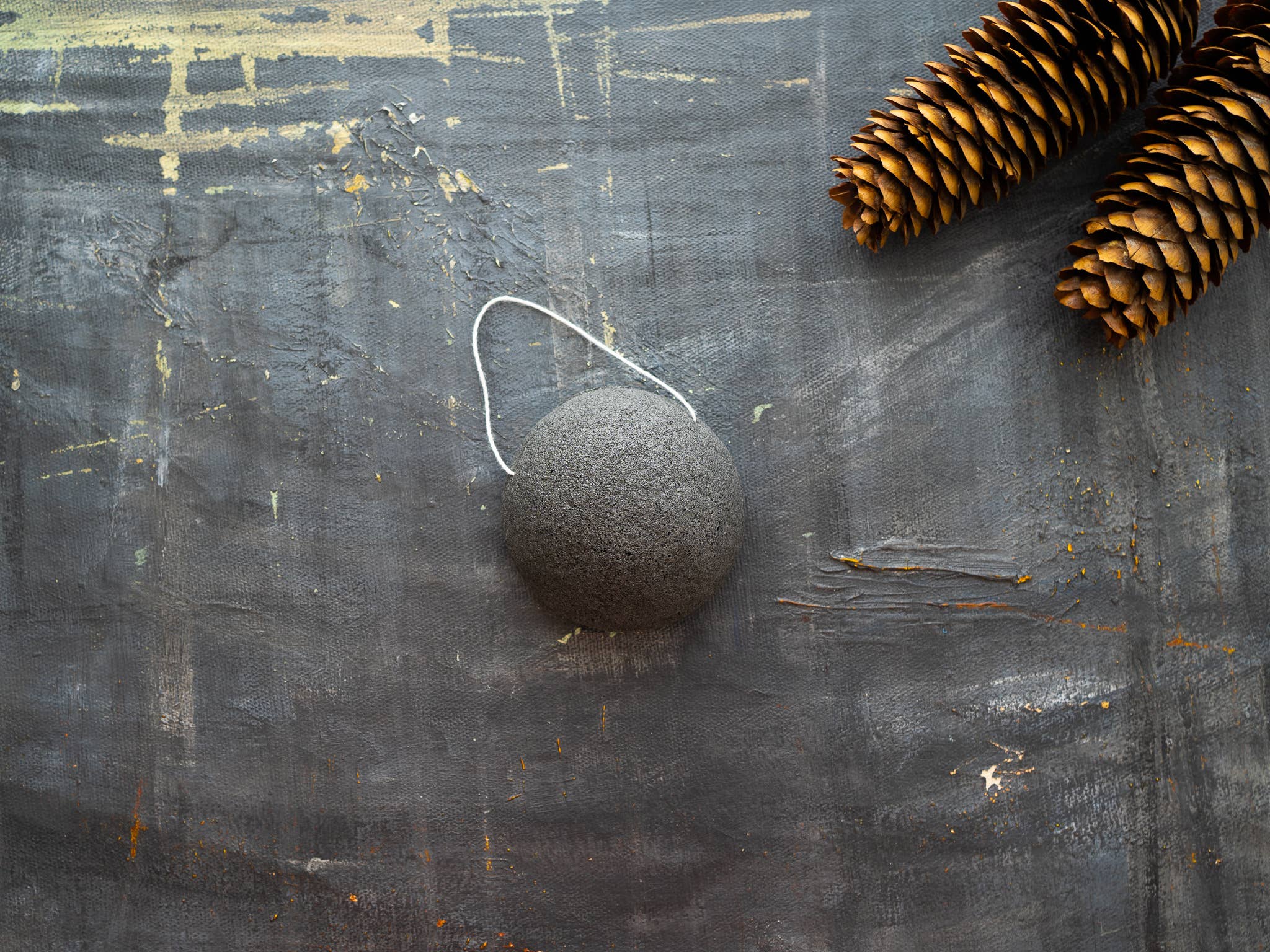 Eponge visage Konjac - Charbon