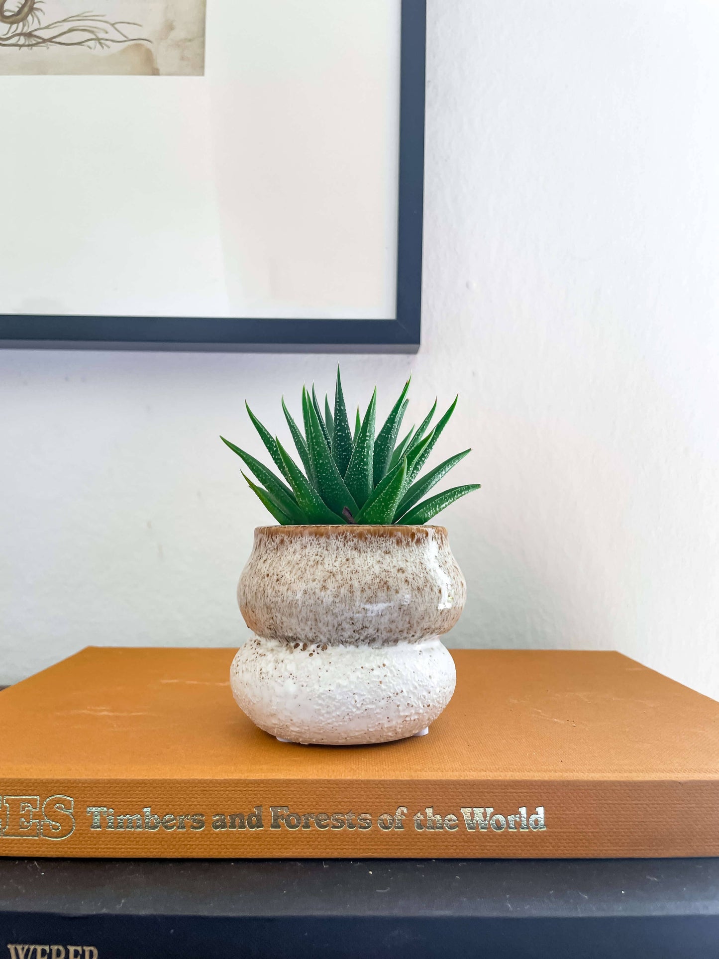 Noemi Planter – Pot en céramique empilable avec drainage