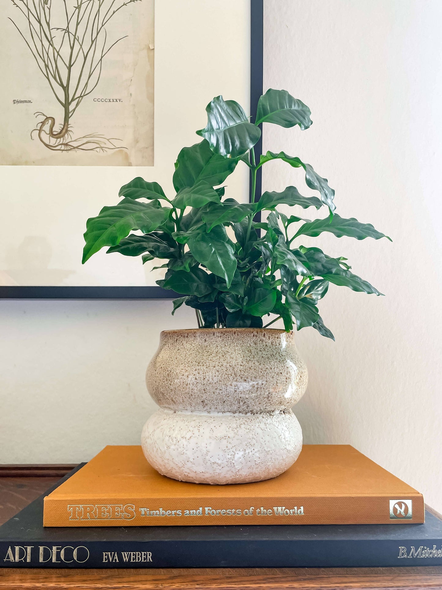 Noemi Planter – Pot en céramique empilable avec drainage