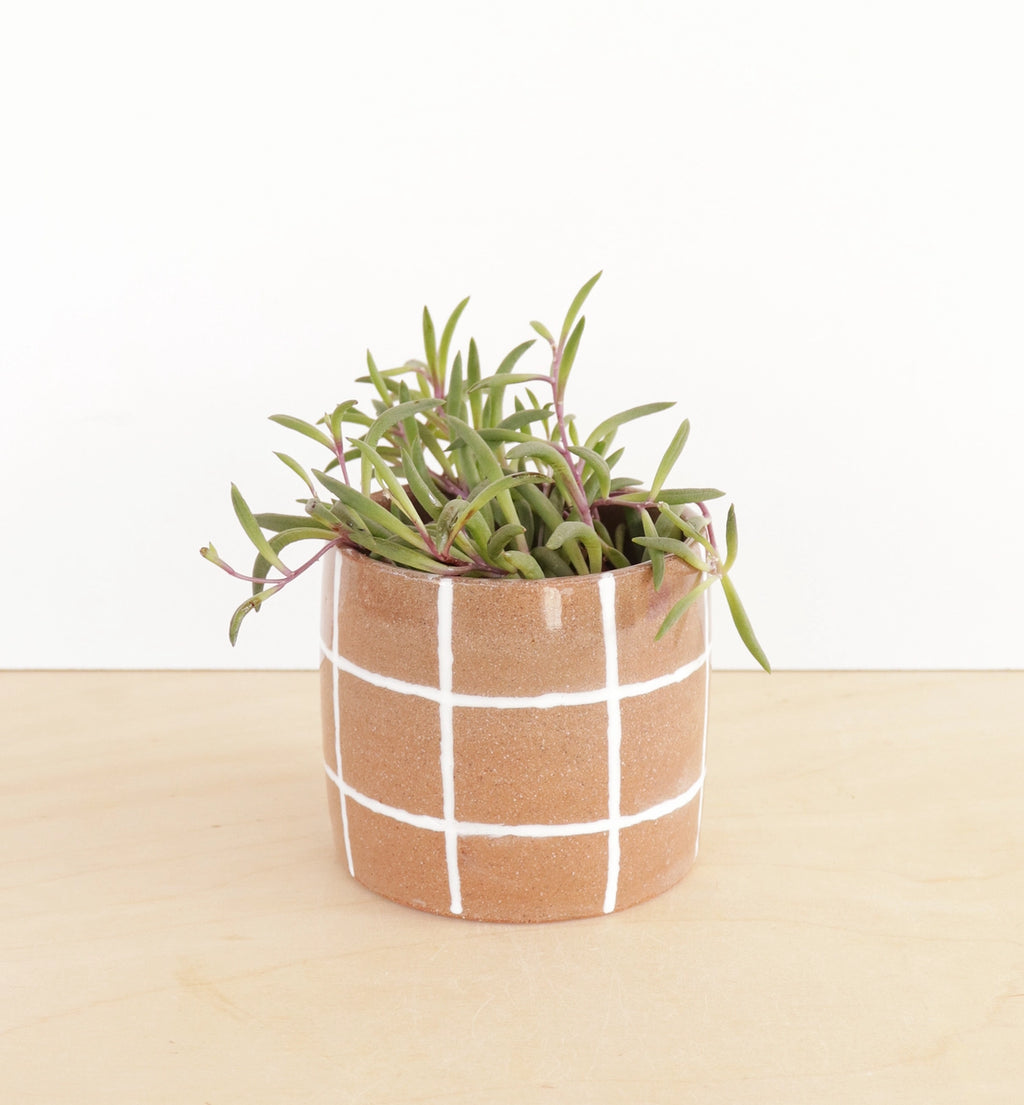'Grid' plant pot