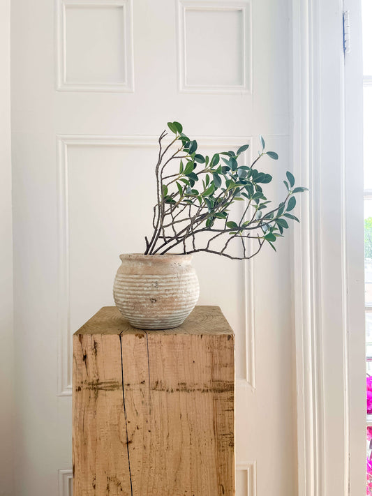 Pot en terre cuite de style vintage rustique Lazio avec aspect vieilli