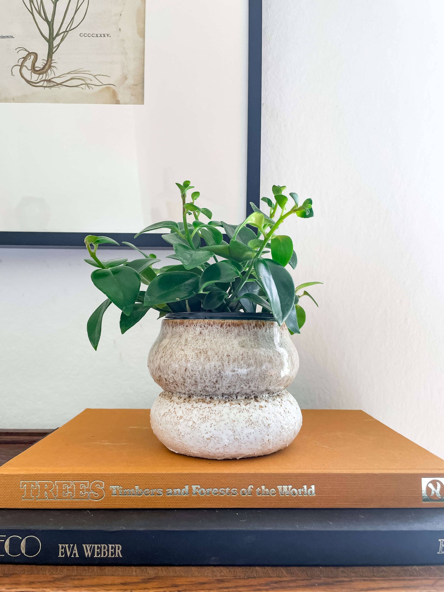 Noemi Planter – Pot en céramique empilable avec drainage