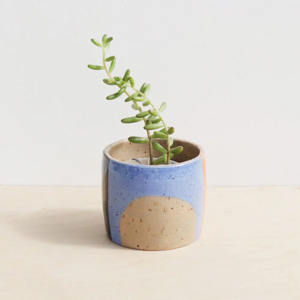 'Gallery' plant pot