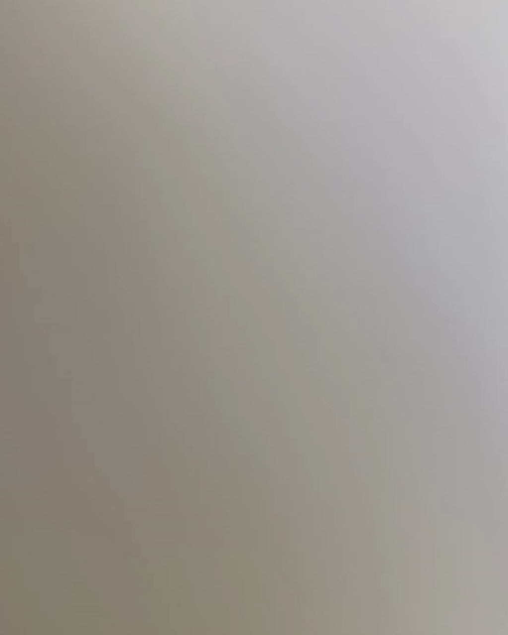 Philodendron Florida Ghost